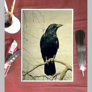 Perched Crow - Crow Art, Raven, Iconic, Edgar Allan Poe, Eclectic Wall Art, Dictionary Prints, Poe The Raven, Raven Feather, Black