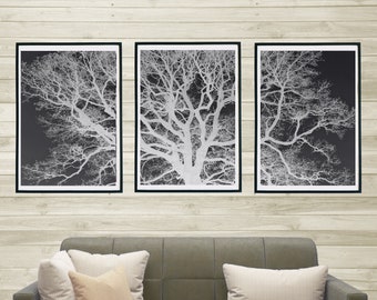 Tree Wall Art, Forest Prints, Eclectic, Nature Lovers, Black and White, Gothic, Forbidden Forest, Set of 3