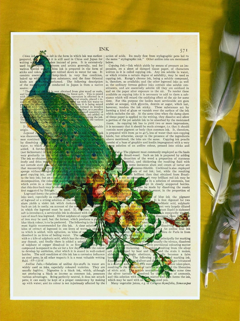 Peacock Artwork Eclectic Wall Art, Wild Flowers Print, Vintage, Peacock Art, Boho Art, Bird Illustration, Quirky Home Decor, Book Page Art image 1