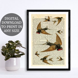 Swallows Bird -  Wall Art Printables, Boho Printable Wall Art, Printable Wall Art Art, Instant Printable Wall Art, Instant Download