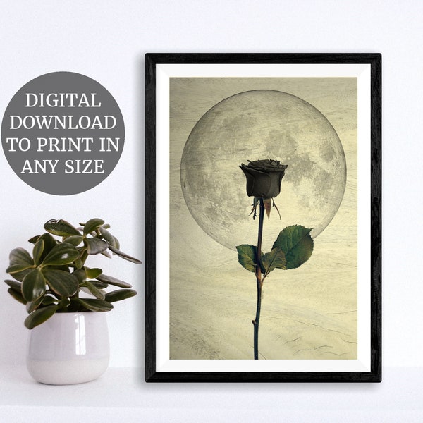 Black Rose, Gothic Art Print, Printable Wall Art, Eclectic, Moon Print, Nature Lovers, Instant Download, Digital Download