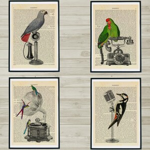 Bird Prints Wall - Eclectic Decor, Quirky, Love Birds Prints, Nature Lovers, Tropical Birds Art Print, Woodpecker Print, Dictionary Print