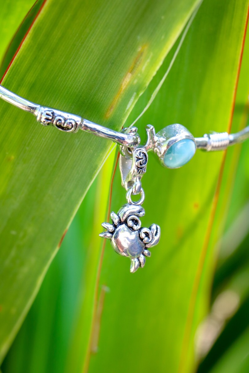 Caribbean Crab Charm