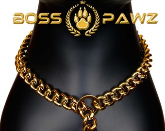 gold choke chain dog collar