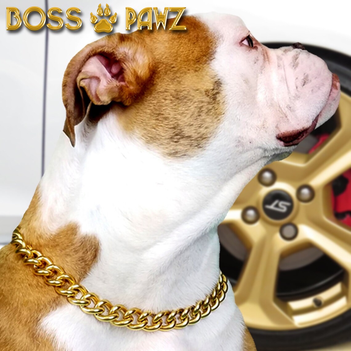 BOSS PAWZ molosser Gold Choke Chain Dog Collar Etsy