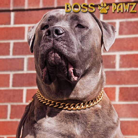 Gold Chain Dog Collars Welded Stainless Steel Heavy Cuban Chain Choke Collar For Large Dogs