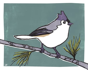 Illustrated Tufted Titmouse Bird Print