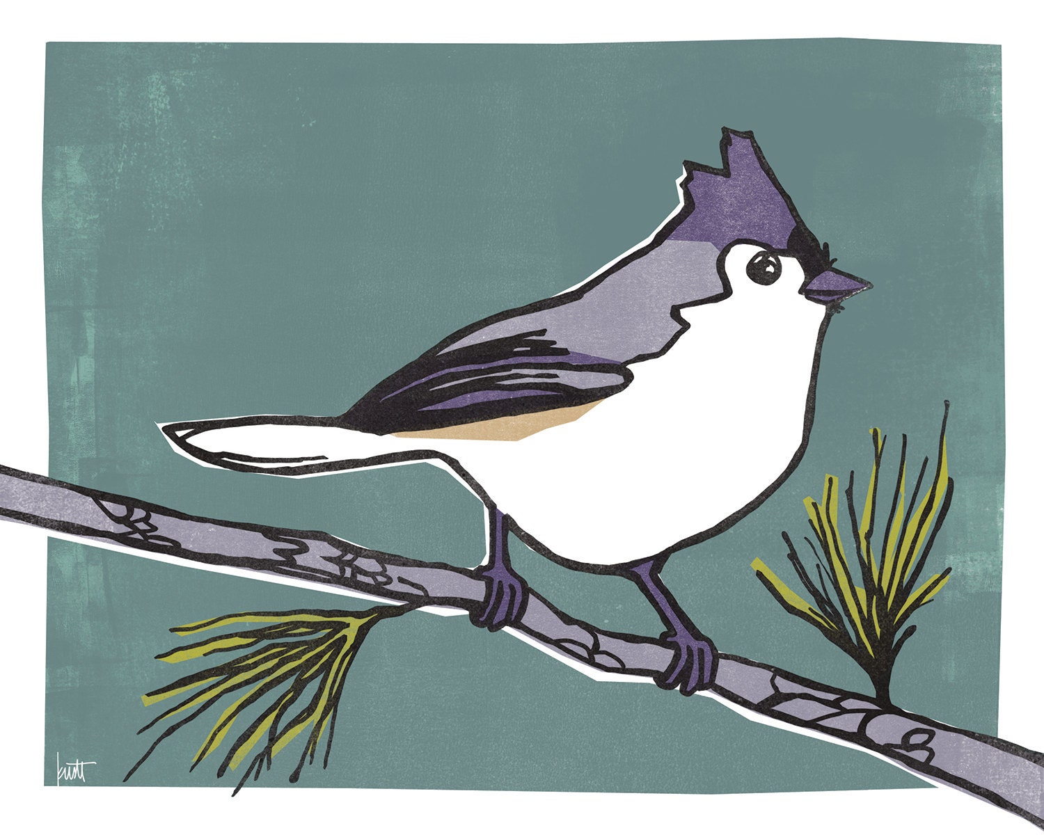 Illustrated Tufted Titmouse Bird Print - Etsy