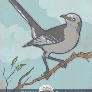 Illustrated Tennessee State Bird Print