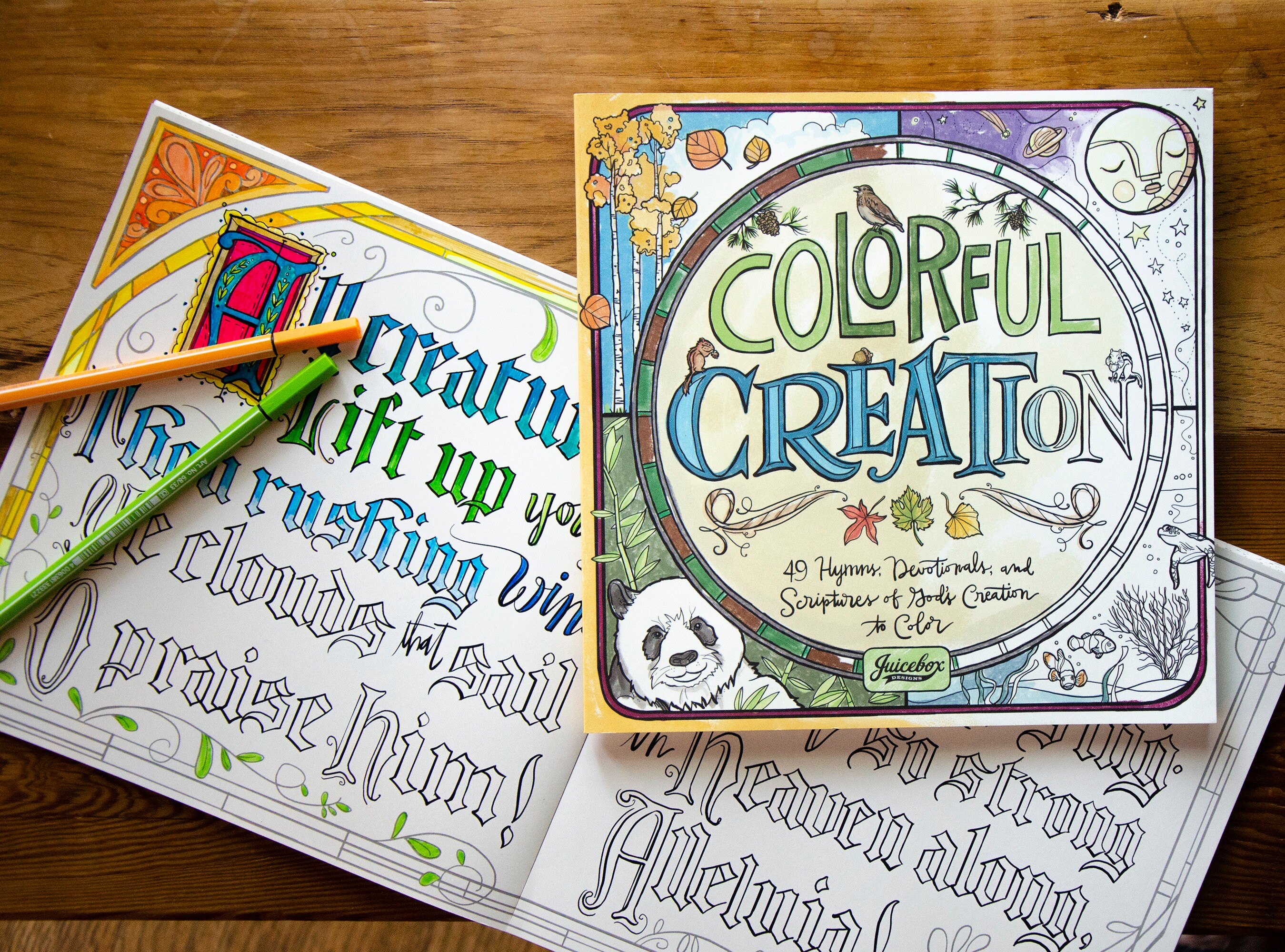 Colorful Creation Spiritual Coloring Book - Etsy