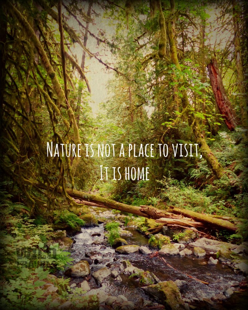 Citation Nature Paysage