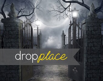 ON SALE Backdrop Halloween Drop Party Backdrop Photobooth Photo Background (Material and Size Options Available)