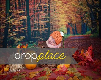 ON SALE Fall Autumn Forest  Halloween Photography backdrop  Background Photo Booth Printed vinyl or Fabric (Multiple Sizes Available)