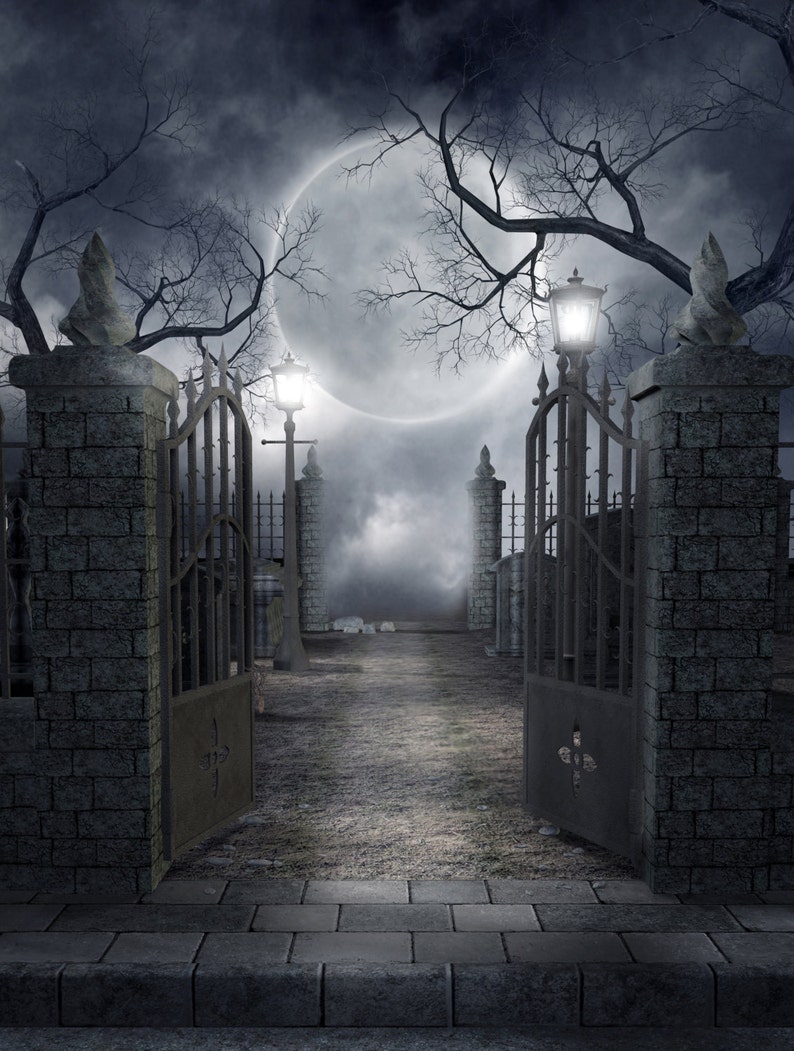 ON SALE Backdrop Halloween Drop Party Backdrop Photobooth Photo Background Material and Size Options Available