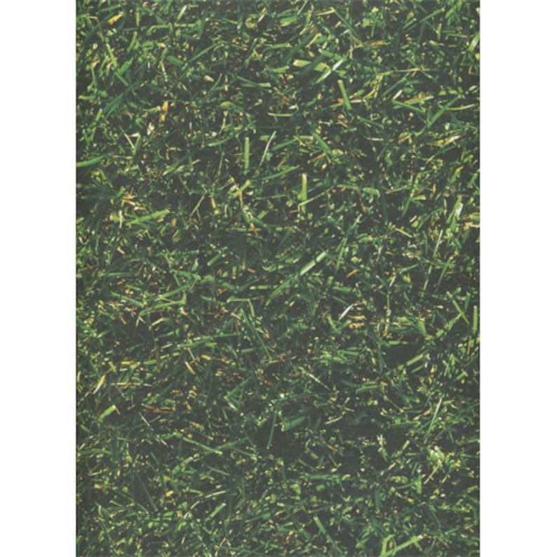 Material and Size Options Available Backdrop Grassy Knoll Photo Background