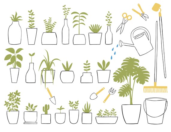 Featured image of post Easy House Plant Clipart Includes 23 different cactus shapes and types