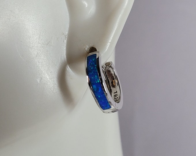 Womens Sterling Silver Modernist Blue Opal Earrings 3.0g E2818