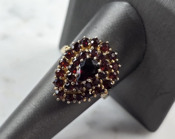 Womens Sterling Silver Gold Tone Modernist Garnet Ring 7.4g E3575