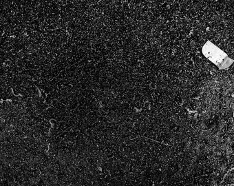 Steel Shavings: BW Photo of steel shavings from the Dario Pegoretti bicycle factory |Italian | Cycling Art | Bicycle Art | Cycling Gifts