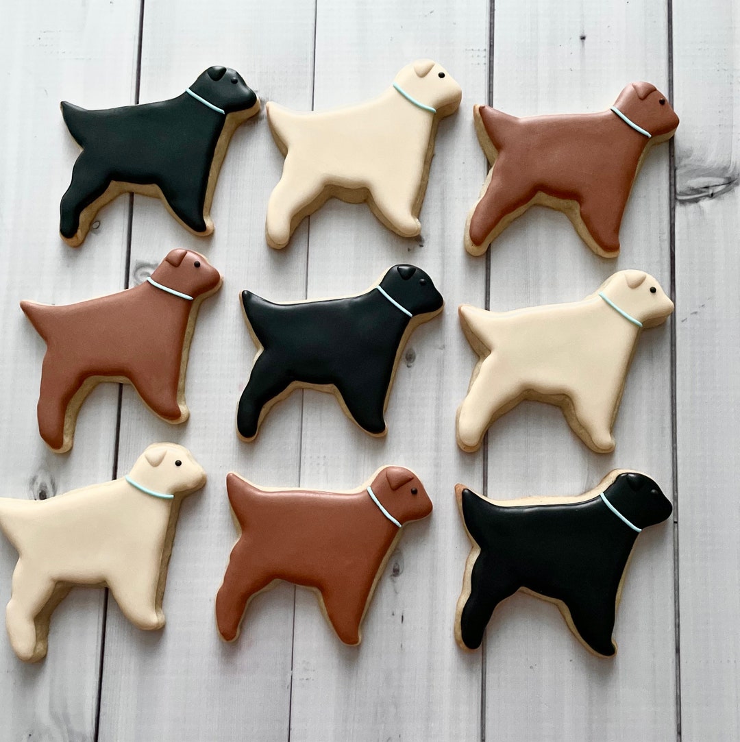 Veterinary Theme Cookies, Brown Lab Dog Theme, Pet Party Favors, Vet