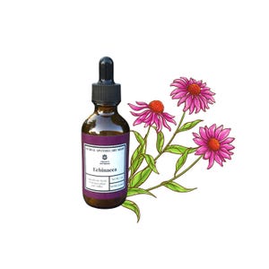 Puede incluir: Una botella de vidrio marrón con un cuentagotas negro y una etiqueta morada que dice "Echinacea". La botella está junto a un dibujo de flores de coneflower moradas con centros naranjas y hojas verdes. El producto es de Young's Apothecary Shop.