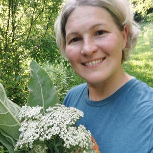 Fresh Plant Yarrow Tincture (Achillea millefolium)