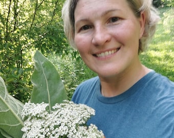 Fresh Plant Yarrow Tincture (Achillea millefolium)
