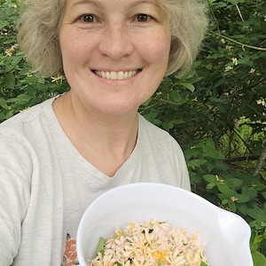 Natural Honeysuckle Syrup