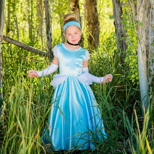 Classic Cinderella Dress Glovettes Included. Soft Stretchy - Etsy