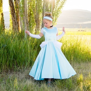 Classic Cinderella dress Glovettes included. Soft, Stretchy, Non itchy, machine washable. Petticoat is sold separately image 1