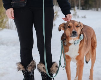 Puede incluir: Una persona con pantalones negros y una sudadera negra con un gráfico de una escena de montaña y el texto "Hoot Co.". La persona sostiene una correa atada a un perro marrón y blanco que lleva un pañuelo azul claro. La persona y el perro están de pie en la nieve.