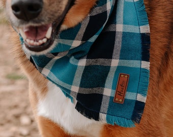 Bandana de perro a cuadros azules - Bandana de gato lindo - Snap On Pet Bandana - Laguna Fray Bandana para mascotas!