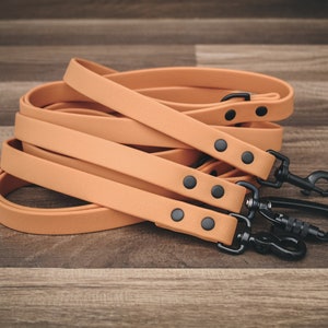 Onyx Aspen Yellow Leash - Waterproof Dog Leash - Pet Leash
