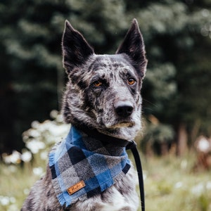 Buffalo Blue Black Plaid Dog Bandana Cute Cat Bandana Snap On Pet Bandana Becker Fray Bandana for pets image 3