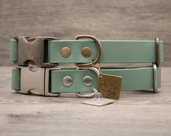 Sage Mint Green - Waterproof Quick Release Dog Collar - COBRA Pet Collar - Antique Brass + Nickel Matte