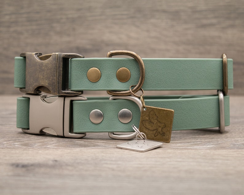 Sage Mint Green Waterproof Quick Release Dog Collar COBRA Pet Collar Antique Brass Nickel Matte image 1