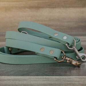 Sage Mint Green - Waterproof Dog Leash - Pet Leash
