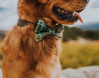 Dog Bow Tie - Cat Bow Tie - Lincoln Plaid Bow Tie for pets - Collar Bow Tie!