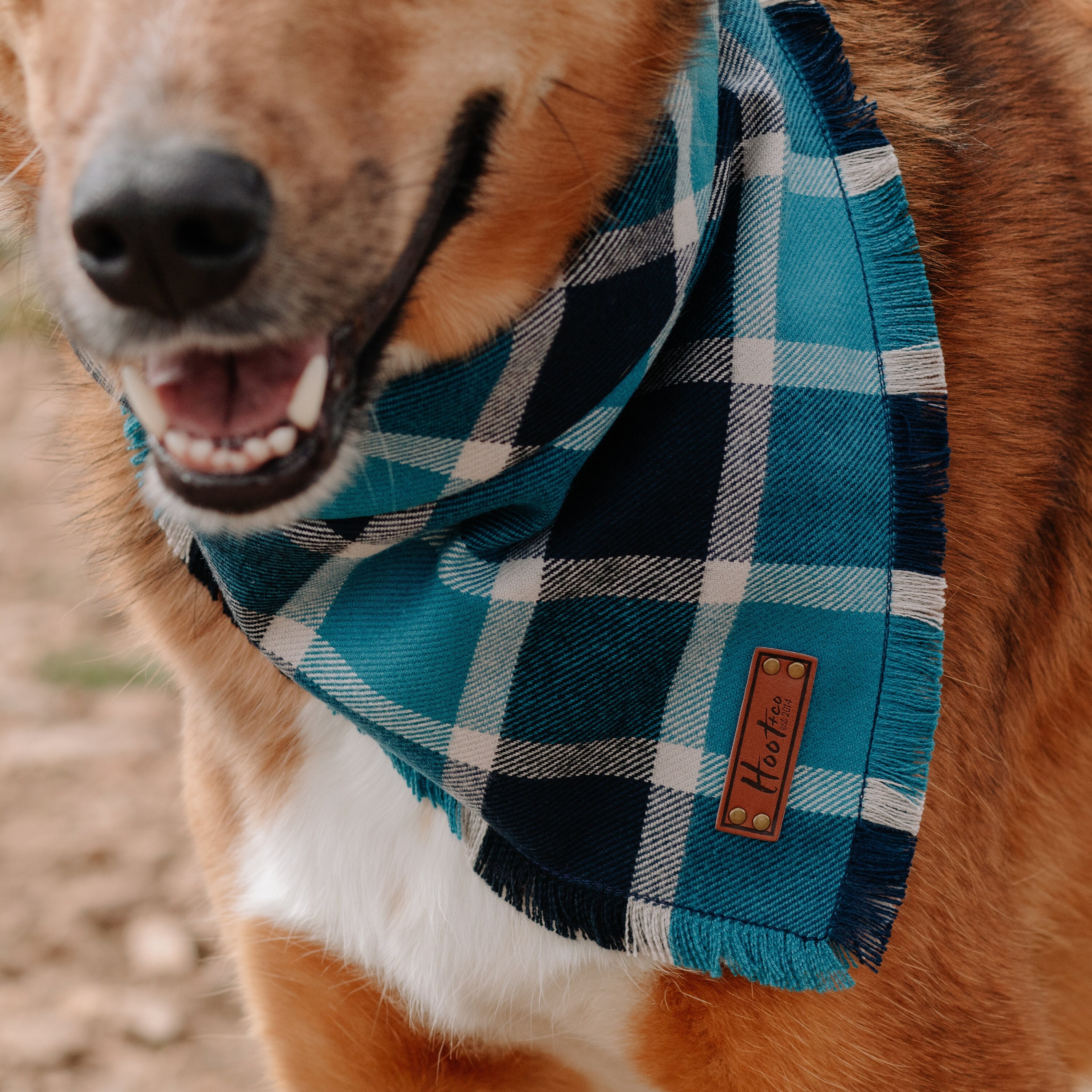 Blue Plaid Fray Dog Bandana Snap-On Pet Scarf