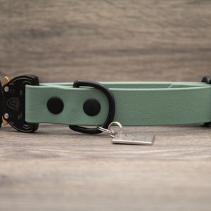 Sage Mint Green Waterproof Quick Release Dog Collar COBRA Pet Collar Antique Brass Nickel Matte image 2