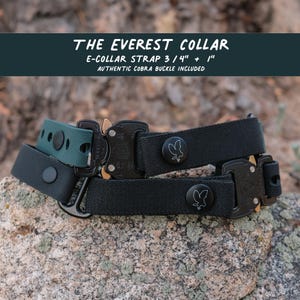 Everest E-Collar Strap: 3/4" Waterproof Bungee Pet Collar with COBRA Buckle