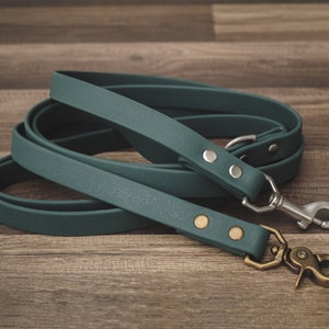 Forest Leash - Waterproof Dog Leash - Pet Leash