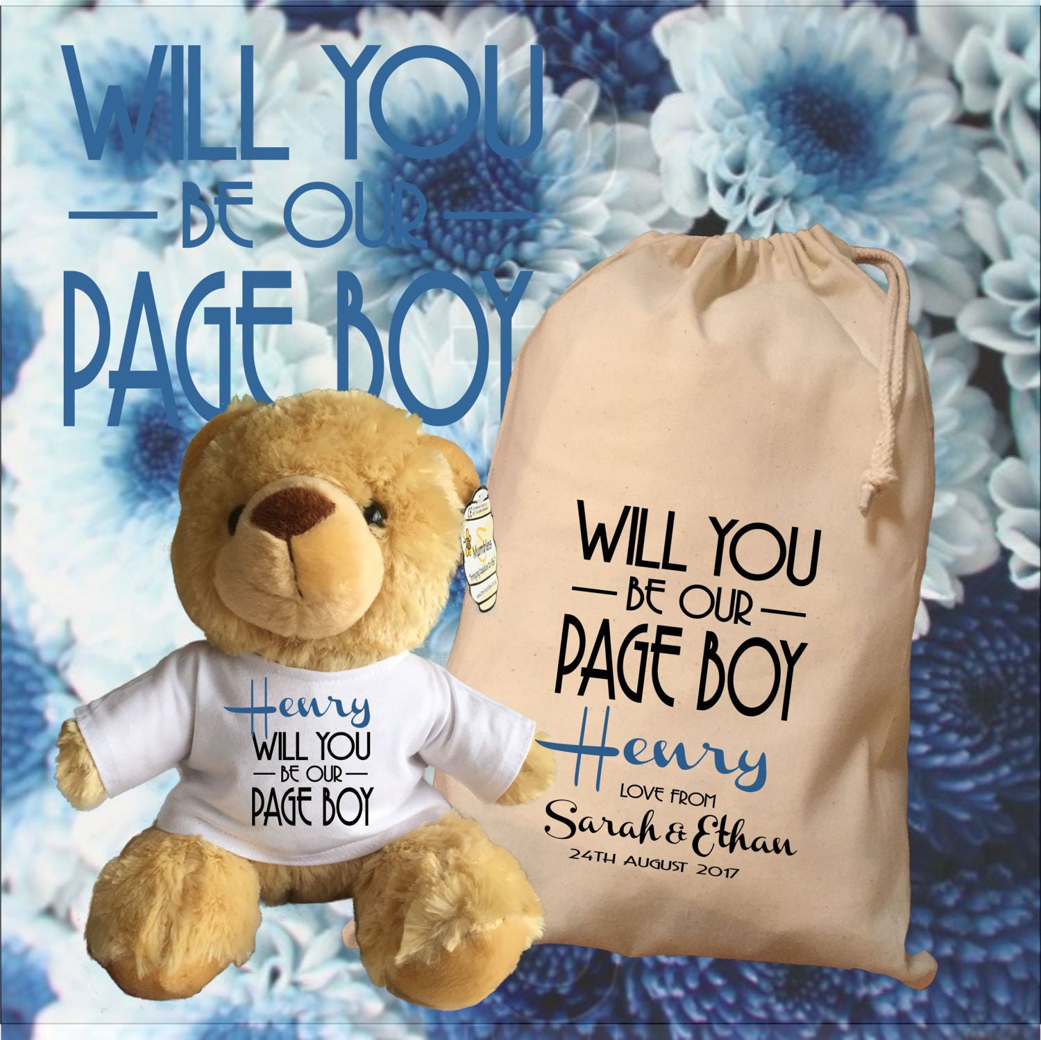 pageboy teddy