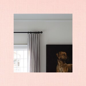 May include: A white wall with a black curtain rod and gray curtains. A framed painting of a brown dog is on the wall.