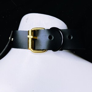 May include: A black leather choker with a gold metal buckle and a black metal ring.