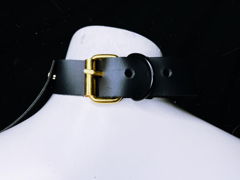 May include: A black leather choker with a gold metal buckle and a black metal ring.