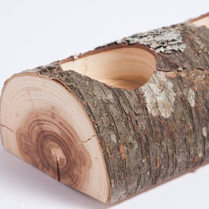 Puede incluir: Un macetero de tronco de madera con tres secciones talladas para plantas. El tronco tiene una textura de corteza natural y es de color marr&oacute;n claro.