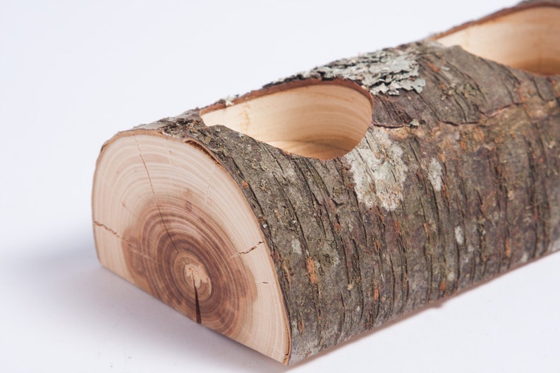 Puede incluir: Un macetero de tronco de madera con tres secciones talladas para plantas. El tronco tiene una textura de corteza natural y es de color marr&oacute;n claro.