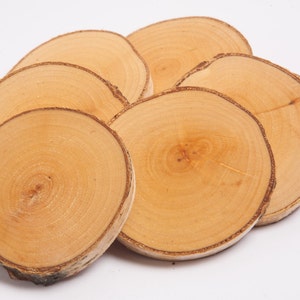10 birch coasters  4&quot;-5&quot; , wooden slices, rustic wedding decoration, wood coasters,  wood discs for home decors