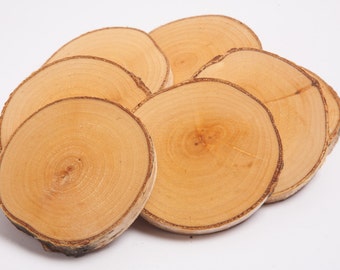 10 birch coasters  3"-4" , wooden slices, rustic wedding decoration, wood coasters,  wood discs for home decors